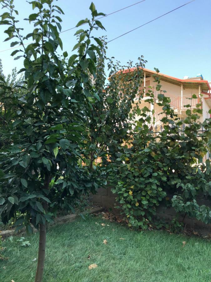 Hotel Villa Ago Përmet Екстериор снимка