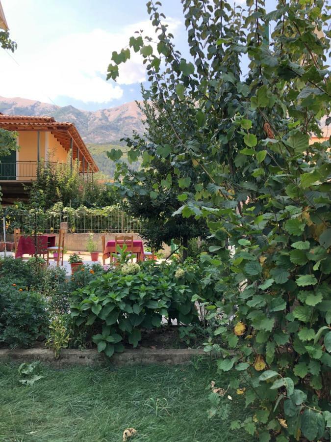 Hotel Villa Ago Përmet Екстериор снимка